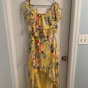 BB Dakota dress. Size 6